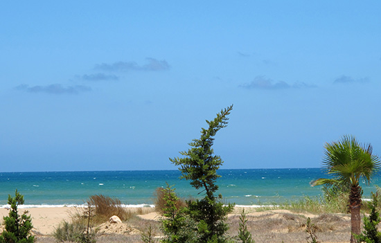 Pláž blízko Saidie