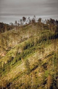 Dnešný pohľad na vrch Zingoty. Foto: mapio.net