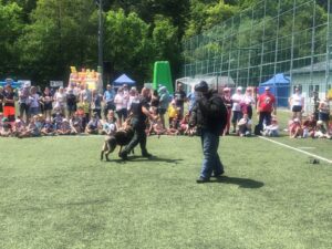 Ukážky vycvičených policajných psov sledovali deti s veľkým záujmom. Foto: M. Bardelčíková