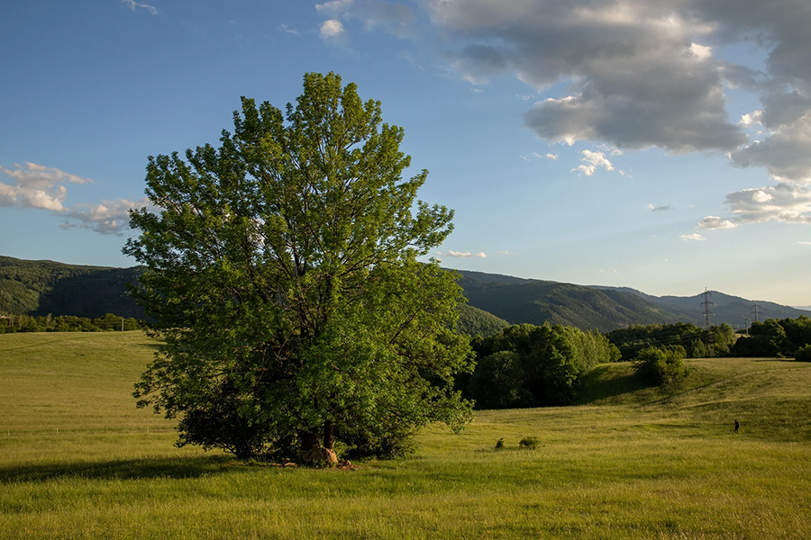 Jaseň v Lopeji, ktorý sa uchádza o vašu priazeň. Foto: Martin Babarík