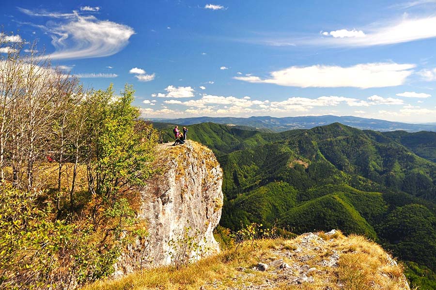 Majerova skala.